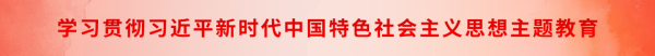 學習貫徹習近平新時代中國特色社會主義思想主題教育.png