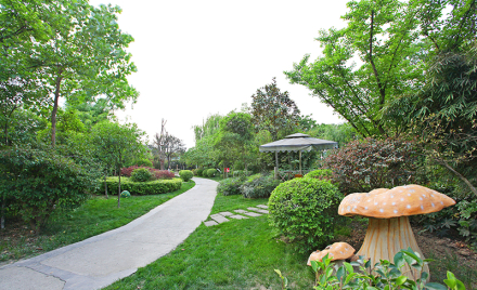 W020151027255710450285 (1).jpg